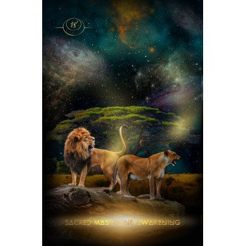 Creatrix Awakened Oracle kortos Muse Oracle Press